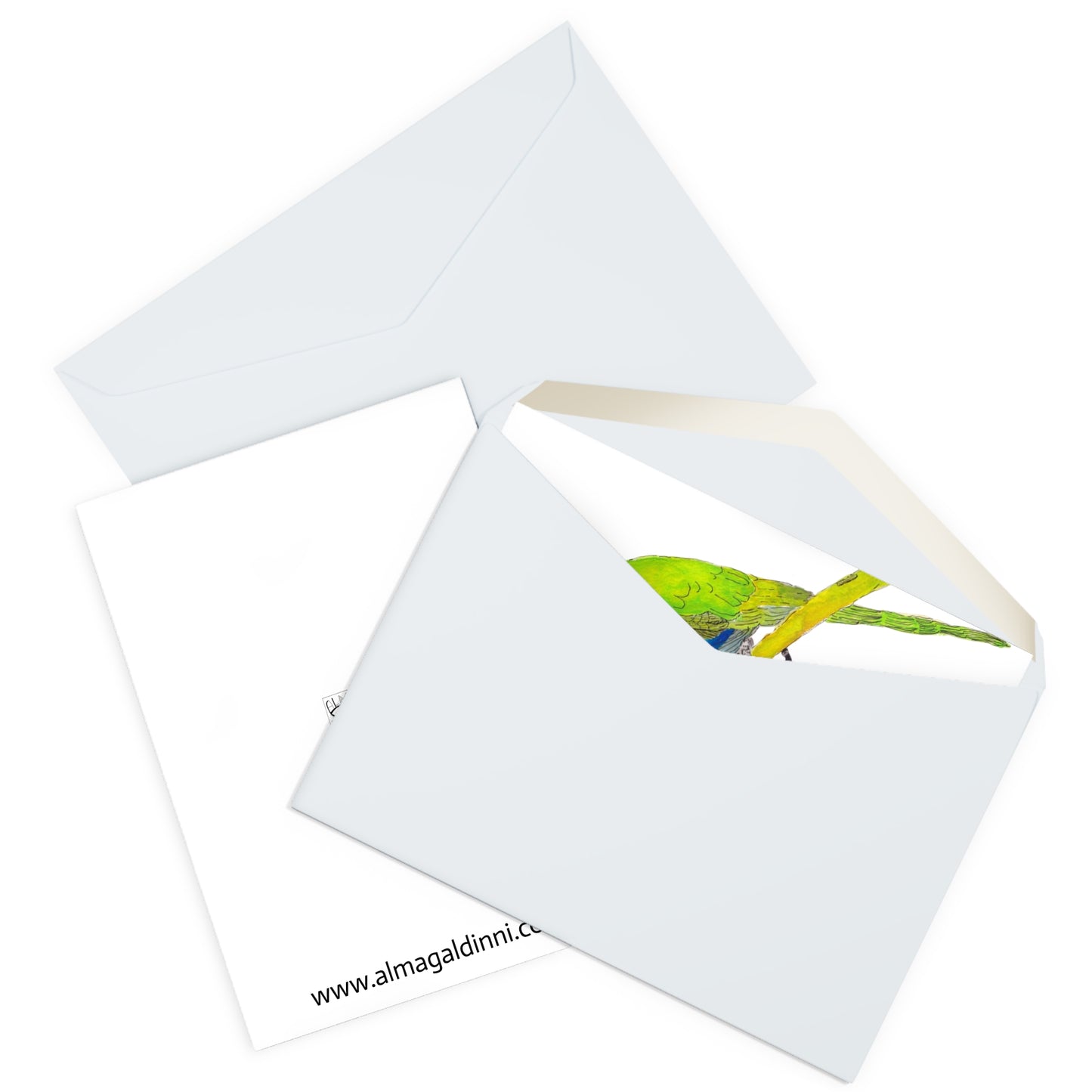 Parrot Greeting Cards (5 Pack)