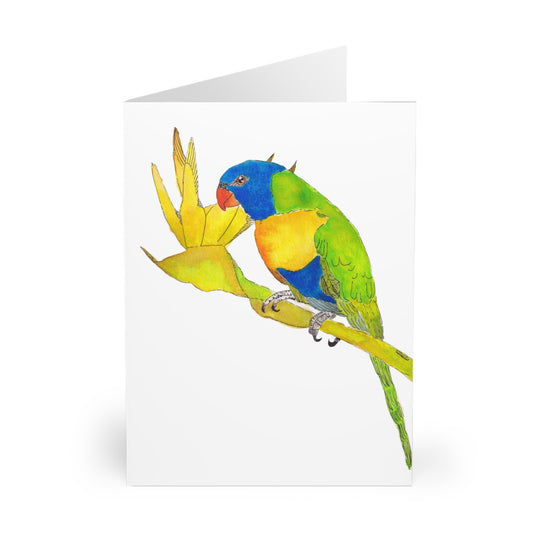 Parrot Greeting Cards (5 Pack)