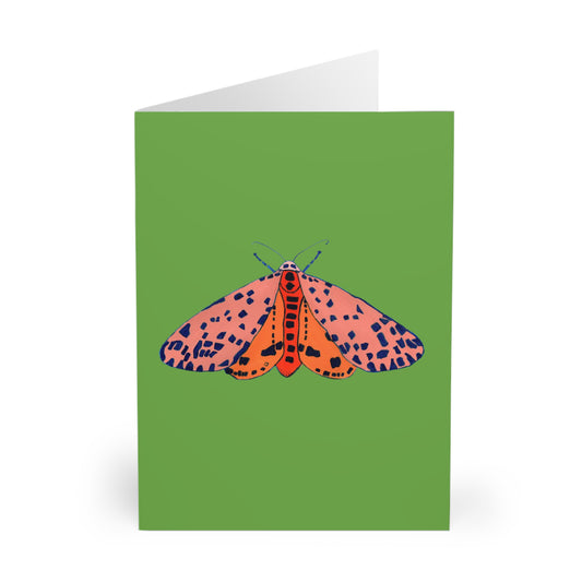 Butterfly Spring Greeting Cards (5 Pack)