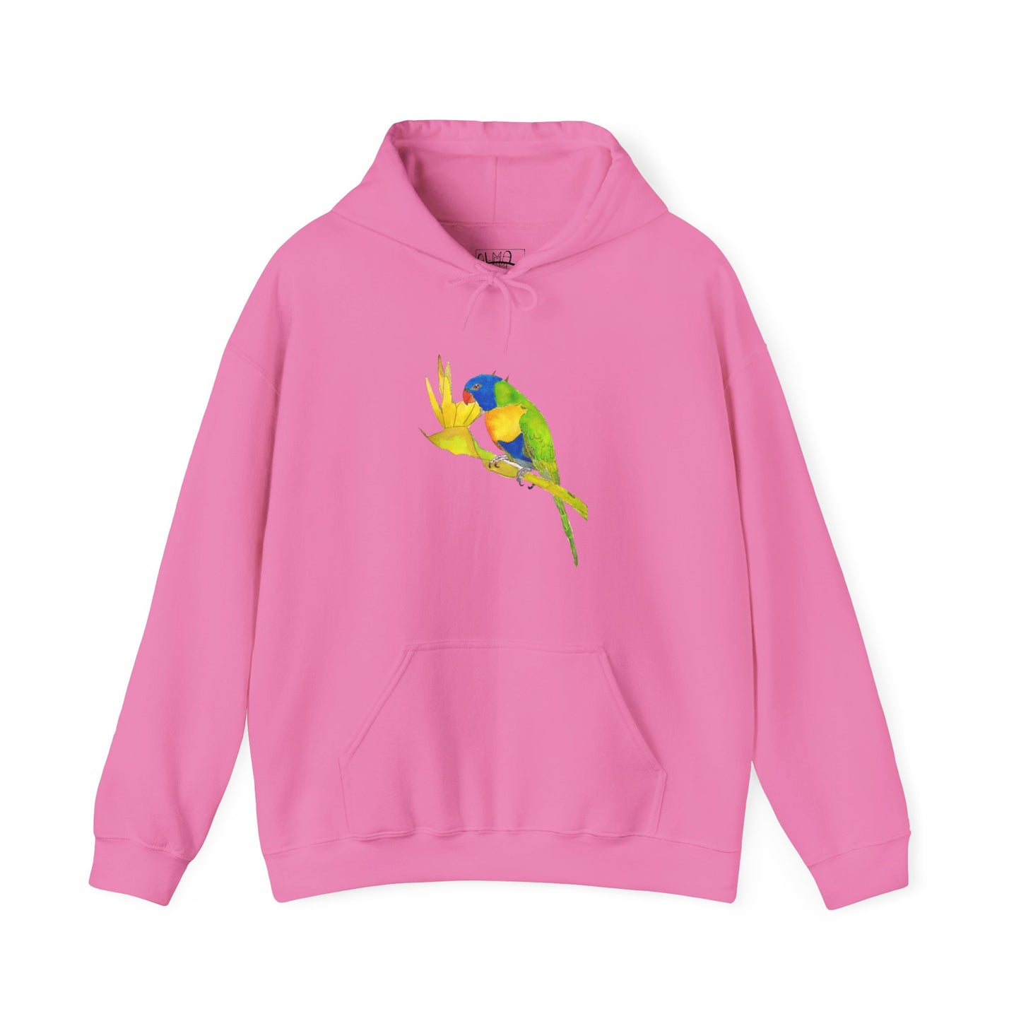 Parrot Unisex Heavy Blend™ Hooded Sweatshirt