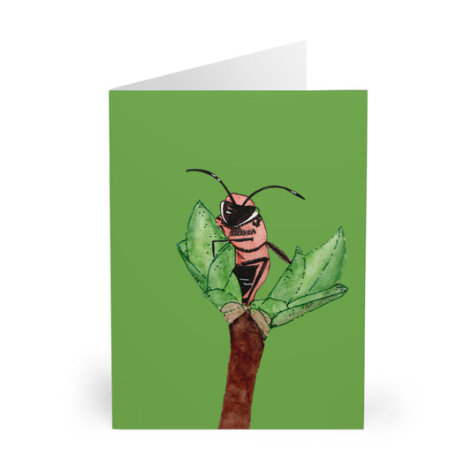 Pink Bee Greeting Cards (5 Pack)